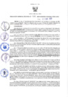 Vista preliminar de documento RES N°014-2022-GRDS