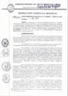 Vista preliminar de documento R.G.R. N003-2022GRT-GRPPAT-GR_11Ene2022