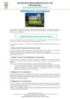 Vista preliminar de documento Impuesto de Alcabala Municipal
