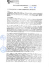 Vista preliminar de documento rgm21736