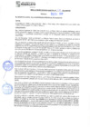 Vista preliminar de documento rgm21735