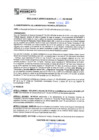 Vista preliminar de documento rgm21745