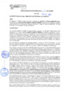Vista preliminar de documento rgm21738