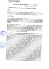 Vista preliminar de documento rgm21746