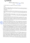 Vista preliminar de documento rgm21755