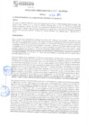 Vista preliminar de documento rgm21751
