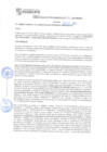 Vista preliminar de documento rgm21757