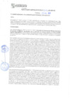 Vista preliminar de documento rgm21758