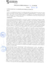 Vista preliminar de documento rgm21760
