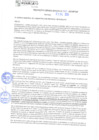 Vista preliminar de documento rgm21767