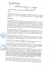 Vista preliminar de documento RGM21771