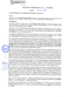 Vista preliminar de documento rgm21777