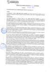 Vista preliminar de documento rgm21779