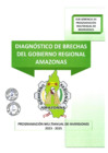 Vista preliminar de documento Diagnostico de brechas del Gobierno Regional Amazonas 2023 - 2025