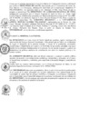 Vista preliminar de documento 2009