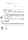 Vista preliminar de documento 2009