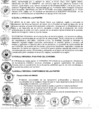 Vista preliminar de documento 2008