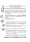 Vista preliminar de documento 2016