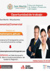 Vista preliminar de documento ASESORE COMERCIAL MOYOBAMBA.pdf
