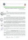 Vista preliminar de documento RESOLUCION_DE_GERENCIA_MUNICIPAL_NRO_119_2021_MPH.pdf