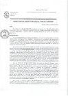 Vista preliminar de documento Resolucion de Gerencia Municipal