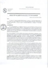 Vista preliminar de documento Resolucion de Gerencia Municipal