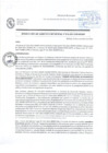 Vista preliminar de documento Resolucion de Gerencia Municipal