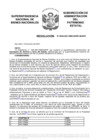 Vista preliminar de documento Resolución N° 0050-2021/SBN-DGPE-SDAPE