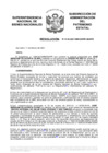 Vista preliminar de documento Resolución N° 0132-2021/SBN-DGPE-SDAPE