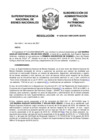 Vista preliminar de documento Resolución N° 0208-2021/SBN-DGPE-SDAPE