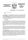 Vista preliminar de documento Resolución N° 0213-2021/SBN-DGPE-SDAPE