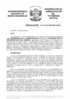 Vista preliminar de documento Resolución N° 0211-2021/SBN-DGPE-SDAPE
