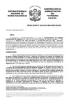 Vista preliminar de documento Resolución N° 0203-2021/SBN-DGPE-SDAPE