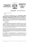Vista preliminar de documento Resolución N° 0215-2021/SBN-DGPE-SDAPE