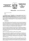 Vista preliminar de documento Resolución N° 0236-2021/SBN-DGPE-SDAPE