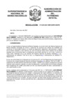 Vista preliminar de documento Resolución N° 0235-2021/SBN-DGPE-SDAPE