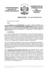 Vista preliminar de documento Resolución N° 0241-2021/SBN-DGPE-SDAPE