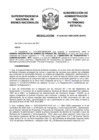 Vista preliminar de documento Resolución N° 0238-2021/SBN-DGPE-SDAPE