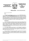 Vista preliminar de documento Resolución N° 0252-2021/SBN-DGPE-SDAPE