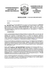 Vista preliminar de documento Resolución N° 0244-2021/SBN-DGPE-SDAPE