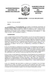 Vista preliminar de documento Resolución N° 0272-2021/SBN-DGPE-SDAPE