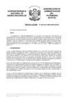 Vista preliminar de documento Resolución N° 0393-2021/SBN-DGPE-SDAPE