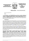 Vista preliminar de documento Resolución N° 0446-2021/SBN-DGPE-SDAPE