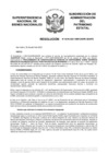 Vista preliminar de documento Resolución N° 0445-2021/SBN-DGPE-SDAPE