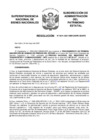 Vista preliminar de documento Resolución N° 0541-2021/SBN-DGPE-SDAPE