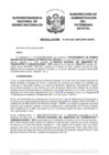 Vista preliminar de documento Resolución N° 0544-2021/SBN-DGPE-SDAPE