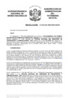 Vista preliminar de documento Resolución N° 0542-2021/SBN-DGPE-SDAPE