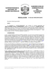 Vista preliminar de documento Resolución N° 0555-2021/SBN-DGPE-SDAPE