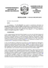 Vista preliminar de documento Resolución N° 0594-2021/SBN-DGPE-SDAPE