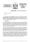 Vista preliminar de documento Resolución N° 0593-2021/SBN-DGPE-SDAPE